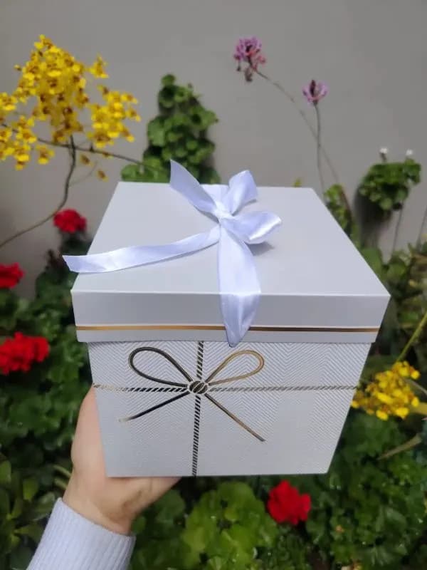 Box